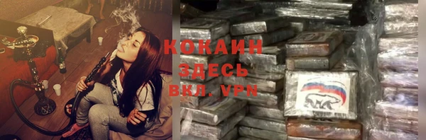 молекула духа Лабытнанги