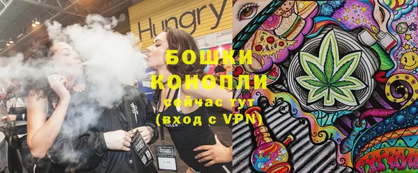 молекула духа Лабытнанги