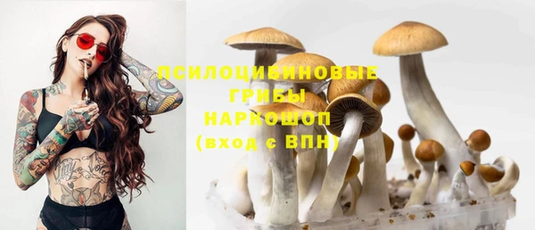 стаф Ладушкин