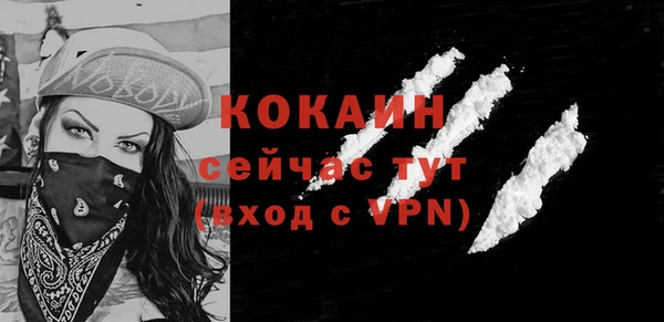 стаф Ладушкин