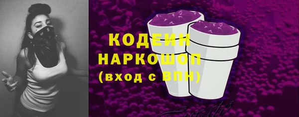 молекула духа Лабытнанги