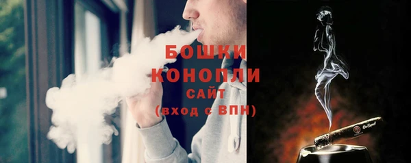 стаф Ладушкин