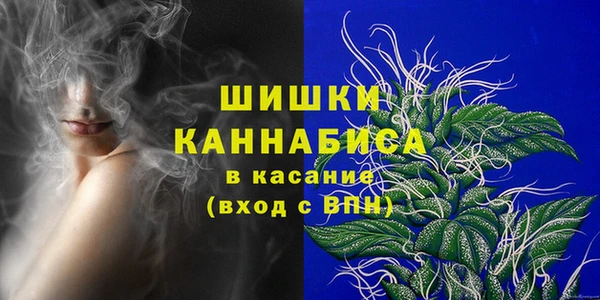 стаф Ладушкин