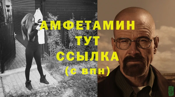 стаф Ладушкин