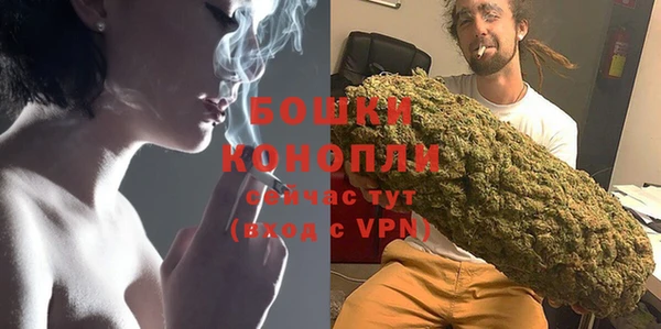 молекула духа Лабытнанги