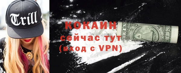 молекула духа Лабытнанги
