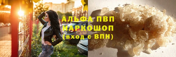 стаф Ладушкин