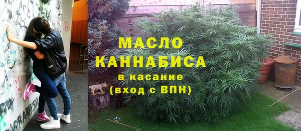 молекула духа Лабытнанги